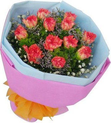 Carnation+Bouquet+2+b+JPG
